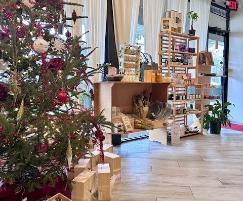 Body & Soul Wellness Retreat